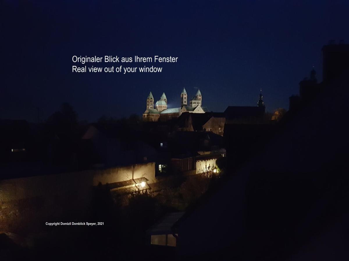 Domizil Domblick Speyer City, Garage, 50M2 Eksteriør bilde