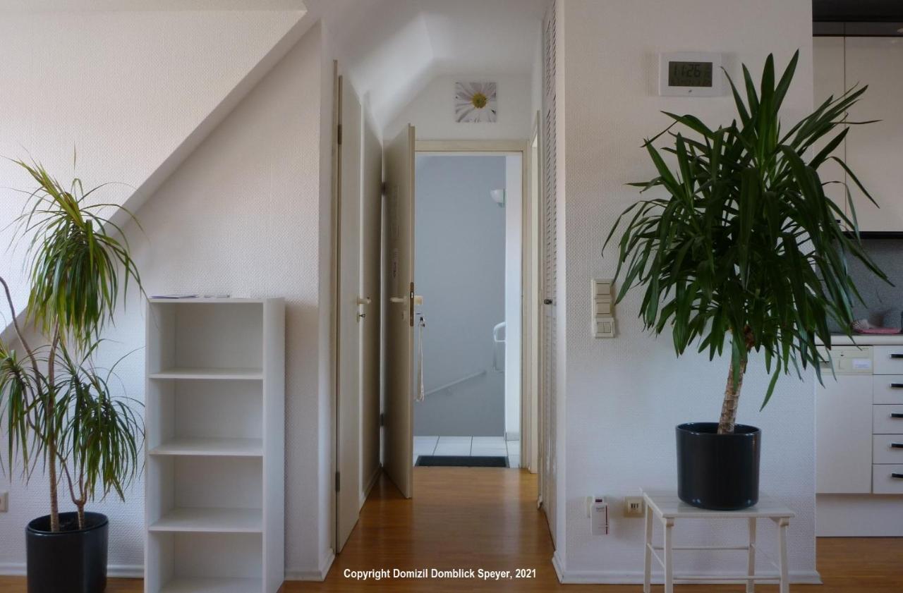 Domizil Domblick Speyer City, Garage, 50M2 Eksteriør bilde