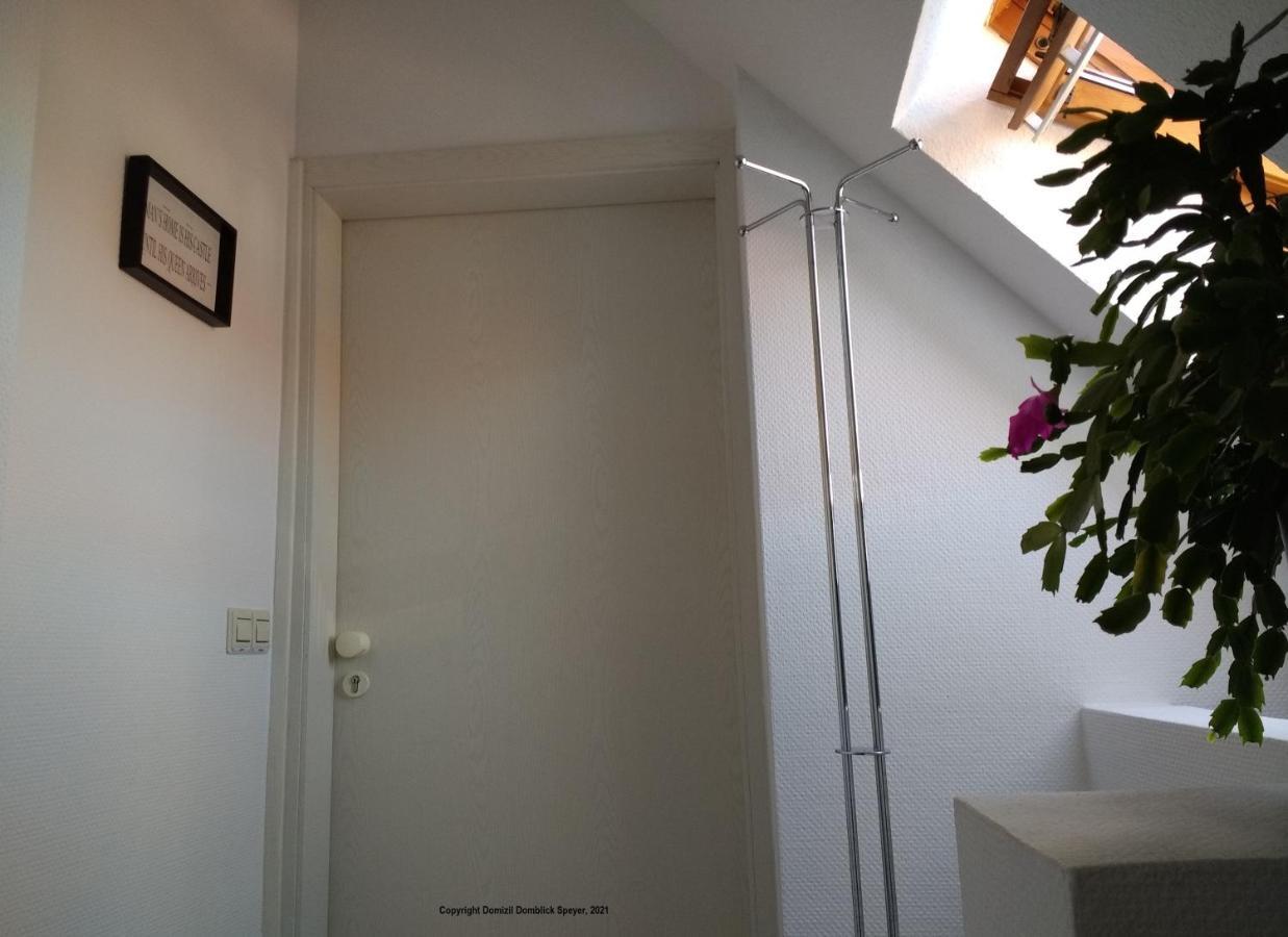 Domizil Domblick Speyer City, Garage, 50M2 Eksteriør bilde