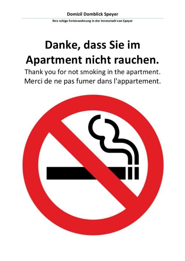 Domizil Domblick Speyer City, Garage, 50M2 Eksteriør bilde