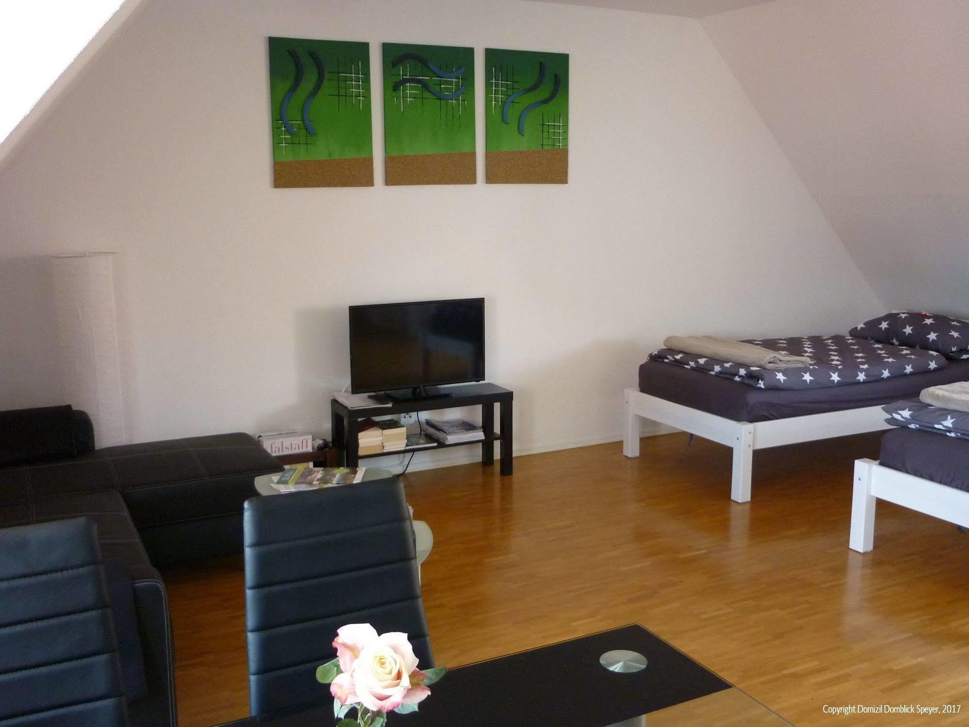 Domizil Domblick Speyer City, Garage, 50M2 Eksteriør bilde