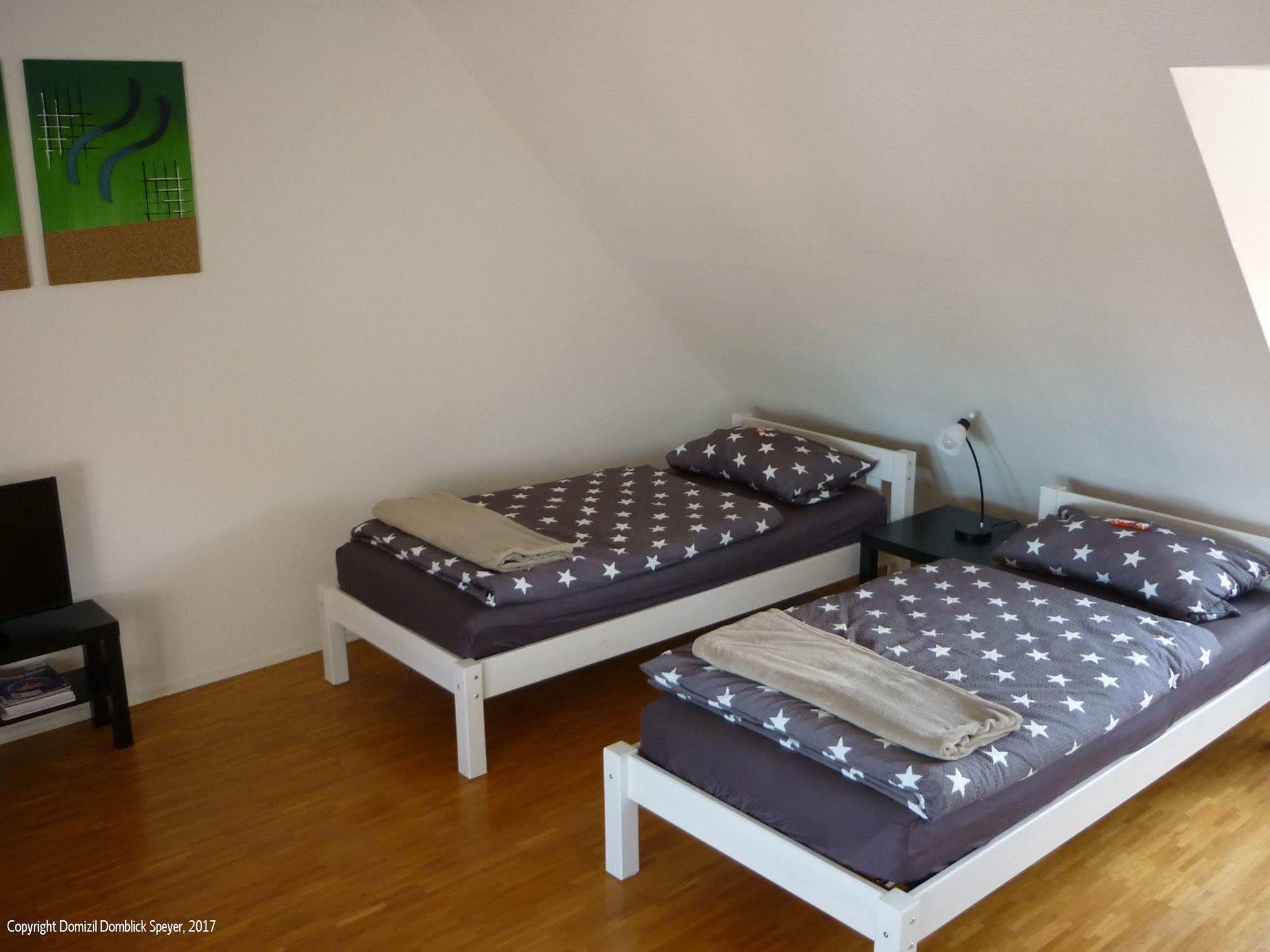 Domizil Domblick Speyer City, Garage, 50M2 Eksteriør bilde